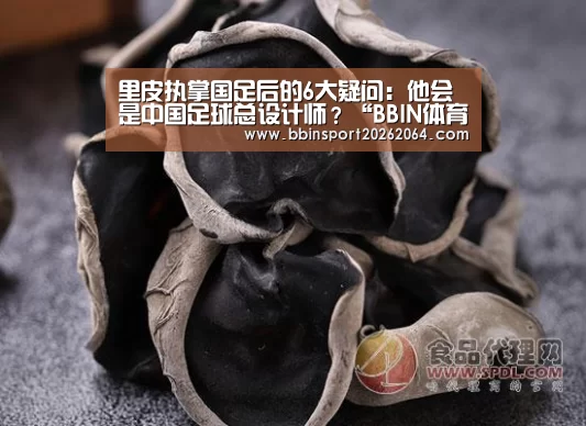 里皮执掌国足后的6大疑问:他会是中国足球总设计师?“BBIN体育”(图2) BBIN体育