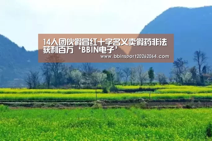 14人团伙假冒红十字名义卖假药非法获利百万‘BBIN电子’(图3) BBIN下载