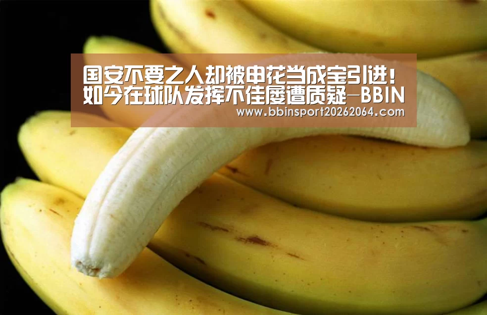 国安不要之人却被申花当成宝引进!如今在球队发挥不佳屡遭质疑-BBIN下载(图4) BBIN体育
