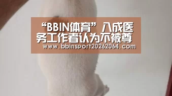 BBIN国际厅