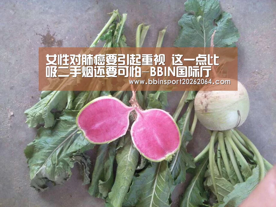 BBIN体育
