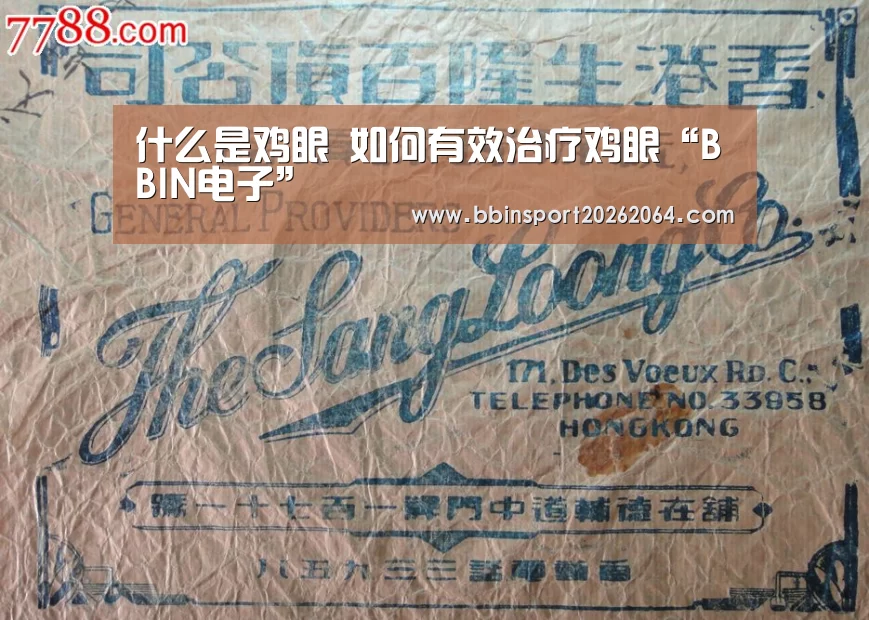BBIN国际厅