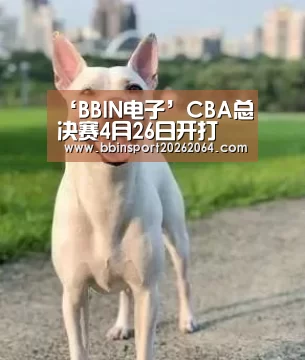 BBIN下载